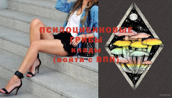 гидра Липки