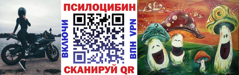 Купить закладки  Ставрополь  Псилоцибиновые грибы Psilocybine cubensis 